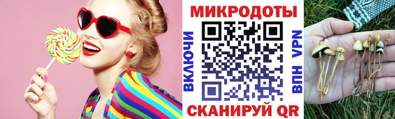 Псилоцибиновые грибы GOLDEN TEACHER  MEGA сайт  Тимашёвск 